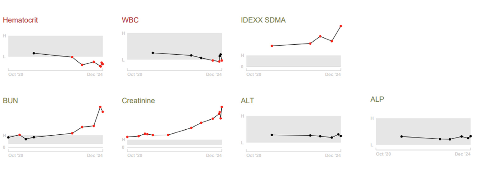 Chronic renal disease on 5-year-old American Staffordshire Terrier Bobo blood work graphs